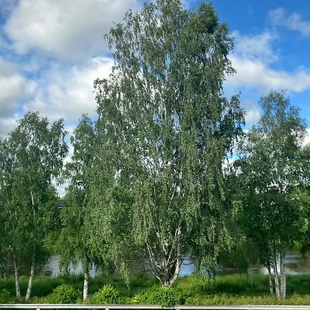 Asunto Kirkkokadulla Lapuan Ydinkeskustassa